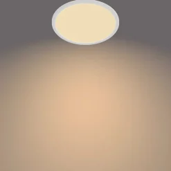 Philips Lighting Superslim CL550 SS RD 15W 27K W WVIP4406 Best