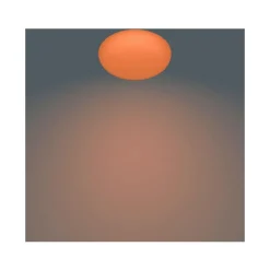 Philips Lighting TOBA CL505 SS RD 23W 27-65K W HV RC 06 Hot