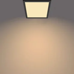 Philips Lighting Touch ceiling CL560 SS SQ 12W 27K B HV06 Best