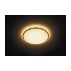 Philips Lighting WAWEL LED WHT17W TUNABLE ceiling lamp Online