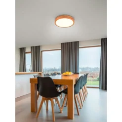 Trio ISEO - 647410130 incl.1x24W LED/2500Lm/3000K Outlet