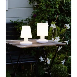 Trio REALITY TAFELLAMP LORA 1XLED R57071101 Sale