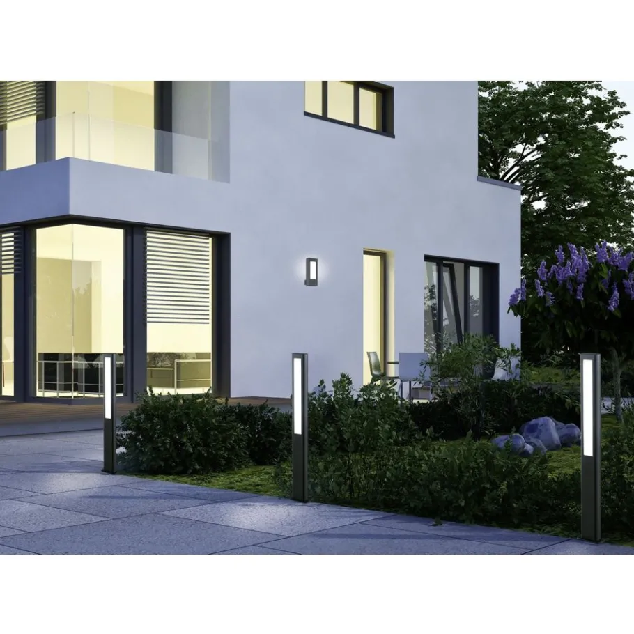 Trio RHINE - 221660242 incl.2x4,5W LED/600Lm/3000K Online